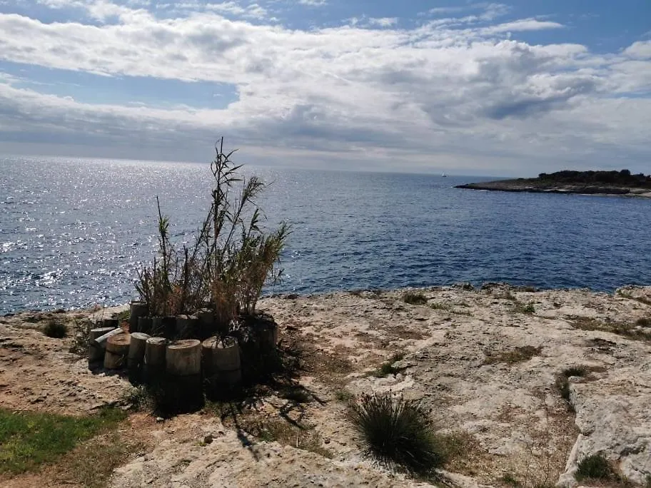 Black Pearl - Luxury Seaside App With Pool & Bbq, Istra Banjole